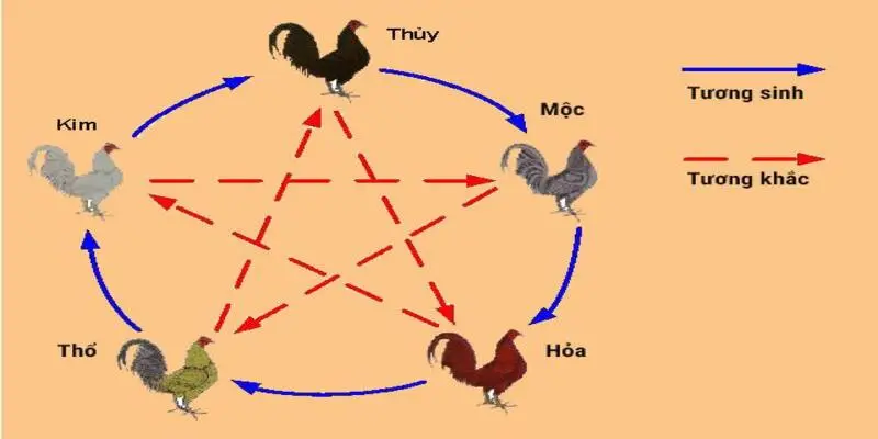 Xem Màu Mạng Gà Đá Hôm Nay Chuẩn Xác Từ Chuyên Gia 4 Màu mạng của gà đá chịu sự ảnh hưởng bởi tương sinh và tương khắc