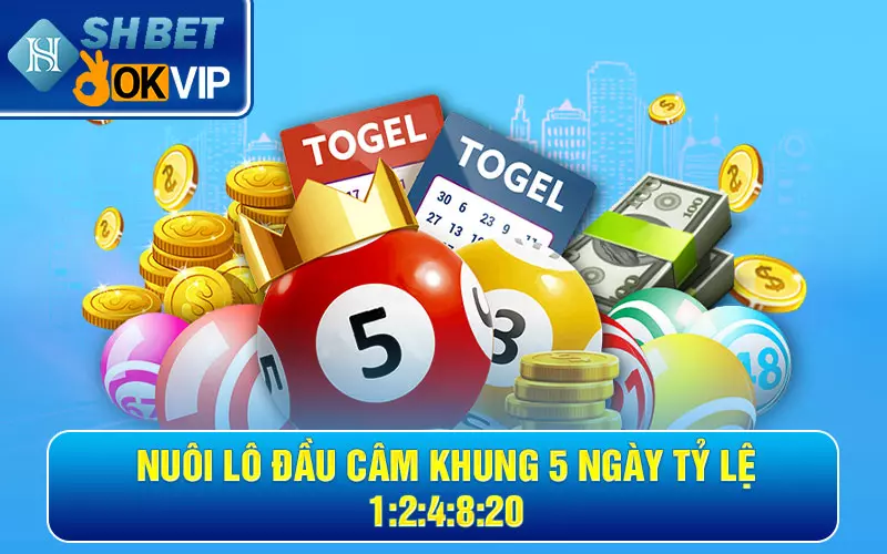 Chia sẻ kinh nghiệm đánh lô đầu câm từ cao thủ hiệu quả 99% 5 Nuôi lô đầu câm khung 5 ngày tỷ lệ 1:2:4:8:20